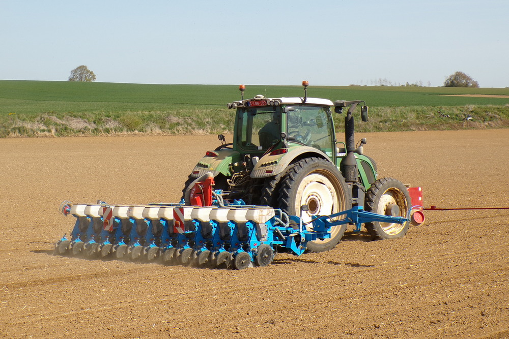 L’entreprise Tasiaux Frères S.R.L a acheté des disques spécifiques pour pouvoir semer du tournesol avec son Monosem NG Plus 4.