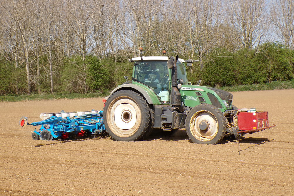Les premiers semis de tournesols ont été réalisés dans la région de Éghezée début avril.
