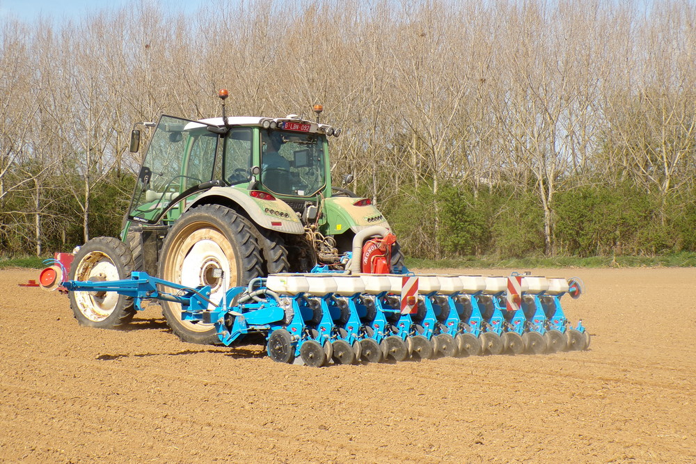 Le semoir pneumatique de la famille Tasiaux permet de semer les tournesols avec un espacement de 45 cm.