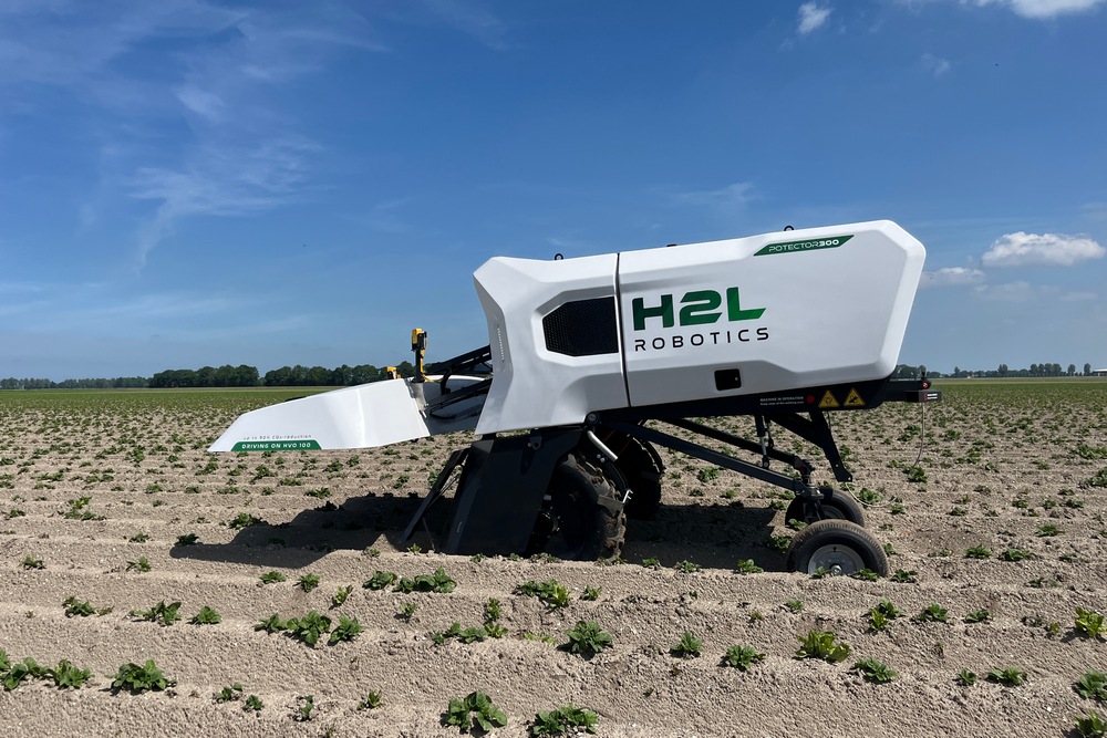 Le H2L Robotics Potector est capable de détecter de manière autonome les plantes malades ou virosées de pommes de terre. 
