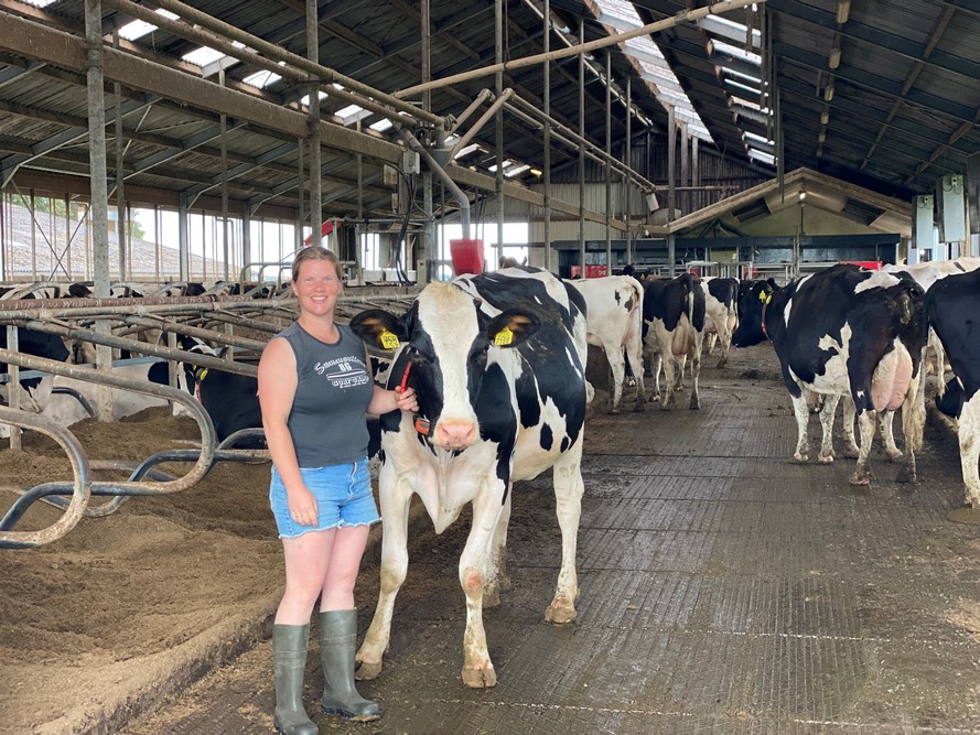 « Une vache qui a besoin d’une attention particulière la reçoit ici. C’est ce qui me motive », explique Woldring