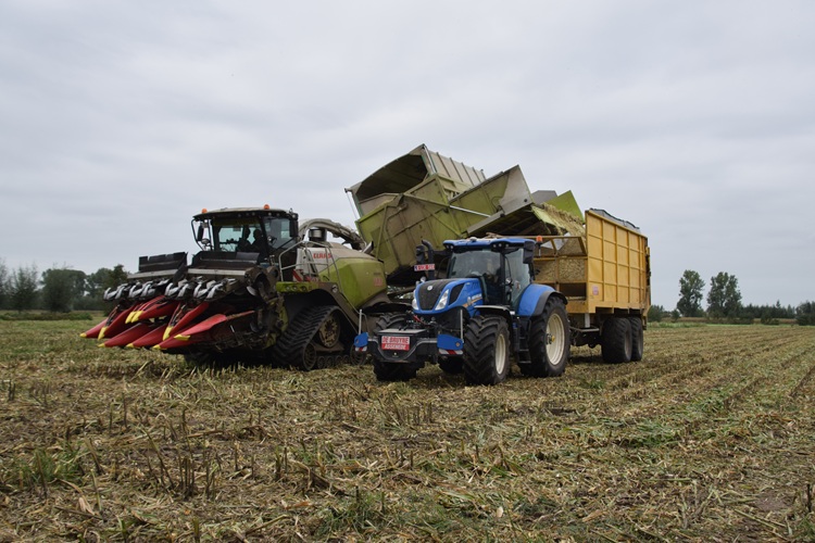 La capacité de la trémie correspond à peu près à celle d’une caisse d’ensilage deux-essieux.