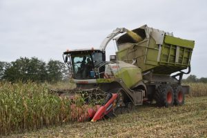 De Bruyne Agro mise sur des machines uniques pour la récolte du maïs