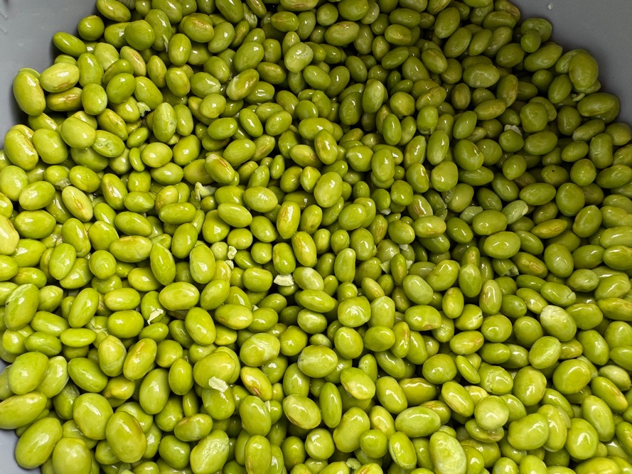 L’edamame est originaire d’Asie de l’Est, mais il est désormais également cultivé aux Pays-Bas.